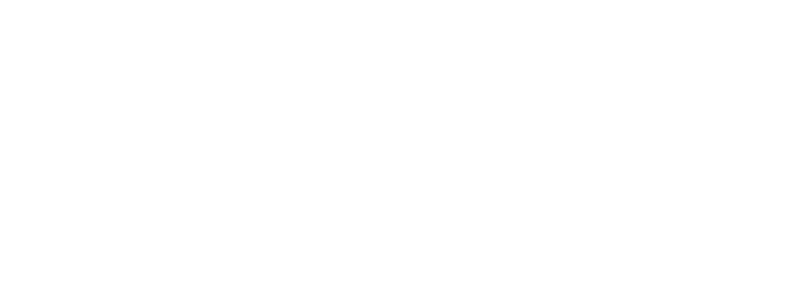 1-verizon